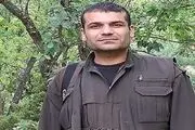 تروریست مشهور کشته شد