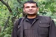 تروریست مشهور کشته شد