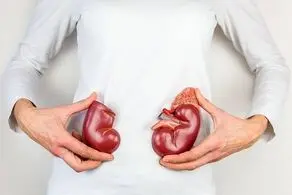 برای حفاظت از کلیه ها این ویتامین را بخورید!