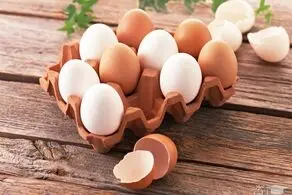 نرخ مصوب تخم مرغ در میادین میوه و تره بار + جدول