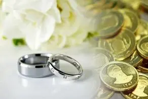 فقها درباره گرفتن شیربها چه نظری دارند؟