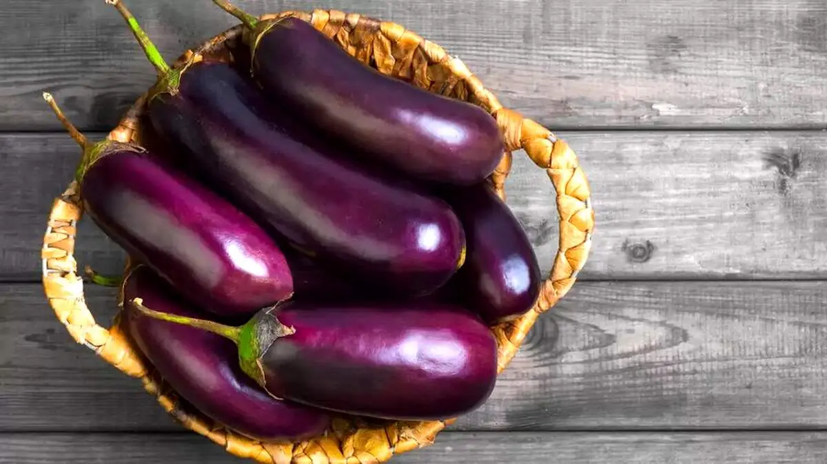 اگر زیاد بادمجان بخوریم چه اتفاقی در بدنمان می‌افتد؟