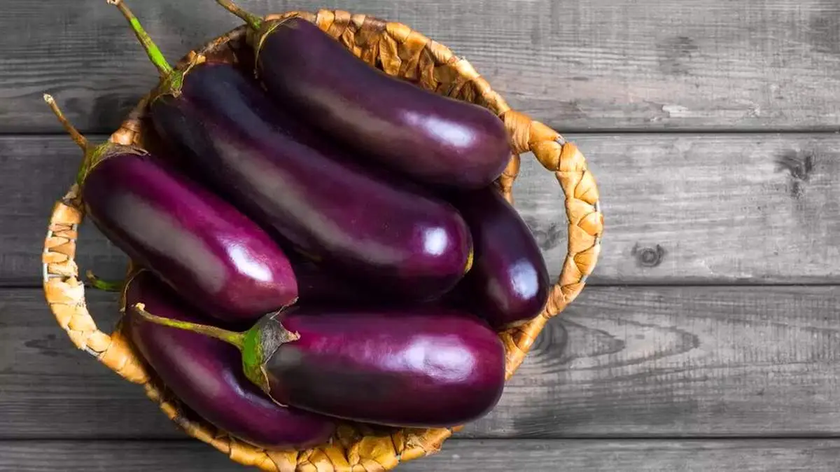 اگر زیاد بادمجان بخوریم چه اتفاقی در بدنمان میافتد؟