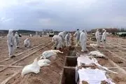 مرگ ۱۵۷ بیمار کووید۱۹ در کشور
