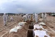 کرونا ۱۲۵ ایرانی دیگر را قربانی کرد/ شناسایی ۱۴ هزار و ۳۰۳ بیمار جدید مبتلا به کووید۱۹