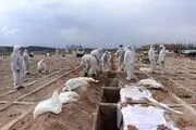 تا کنون چند میلیون نفر در جهان بر اثر کرونا قربانی شدند؟