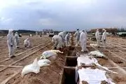 تعداد دقیق فوتی های کرونایی تهران از ابتدای شیوع ویروس کرونا  تاکنون