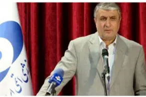  انتقاد تند اسلامی از آژانس انرژی اتمی/ نه ‌تنها همکاری نکردند بلکه مزاحمت هم ایجاد کردند