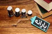 خبر جدید از یارانه ویژه دولت برای این مشاغل