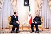 واکنش مشاور رهبری به سخنان پزشکیان 