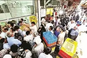 مرغ تنظیم بازاری نداریم؛ یا در صف بایستید!