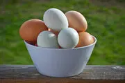 چرا نباید تخم‌مرغ و پنیر را همزمان خورد؟