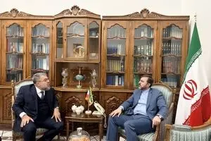 تاکید معاون وزیر خارجه بر وجود ظرفیت‌های گسترده در روابط ایران و برزیل