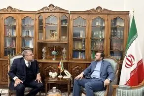 تاکید معاون وزیر خارجه بر وجود ظرفیت‌های گسترده در روابط ایران و برزیل