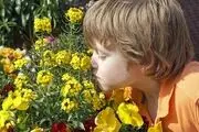 به زودی همه "کر بو" می‌شویم