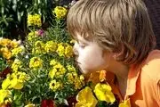 به زودی همه "کر بو" می‌شویم