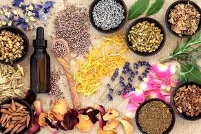 کاهش درد مفاصل با این گیاهان عجیب