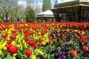 پشت‌پرده دلیل تعطیلی باغ گل‌های کرج