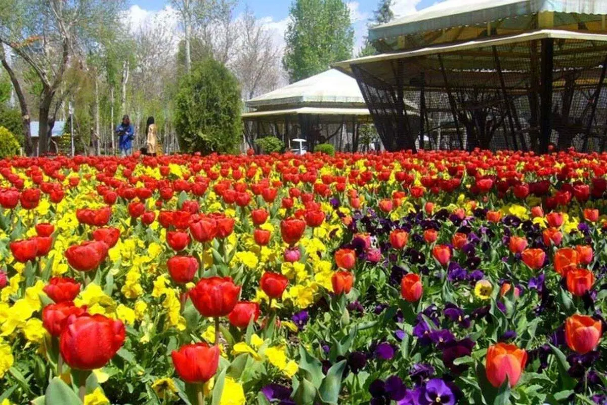 پشت‌پرده دلیل تعطیلی باغ گل‌های کرج