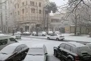 هم اکنون؛ بارش شدید و زیبای برف در این منطقه