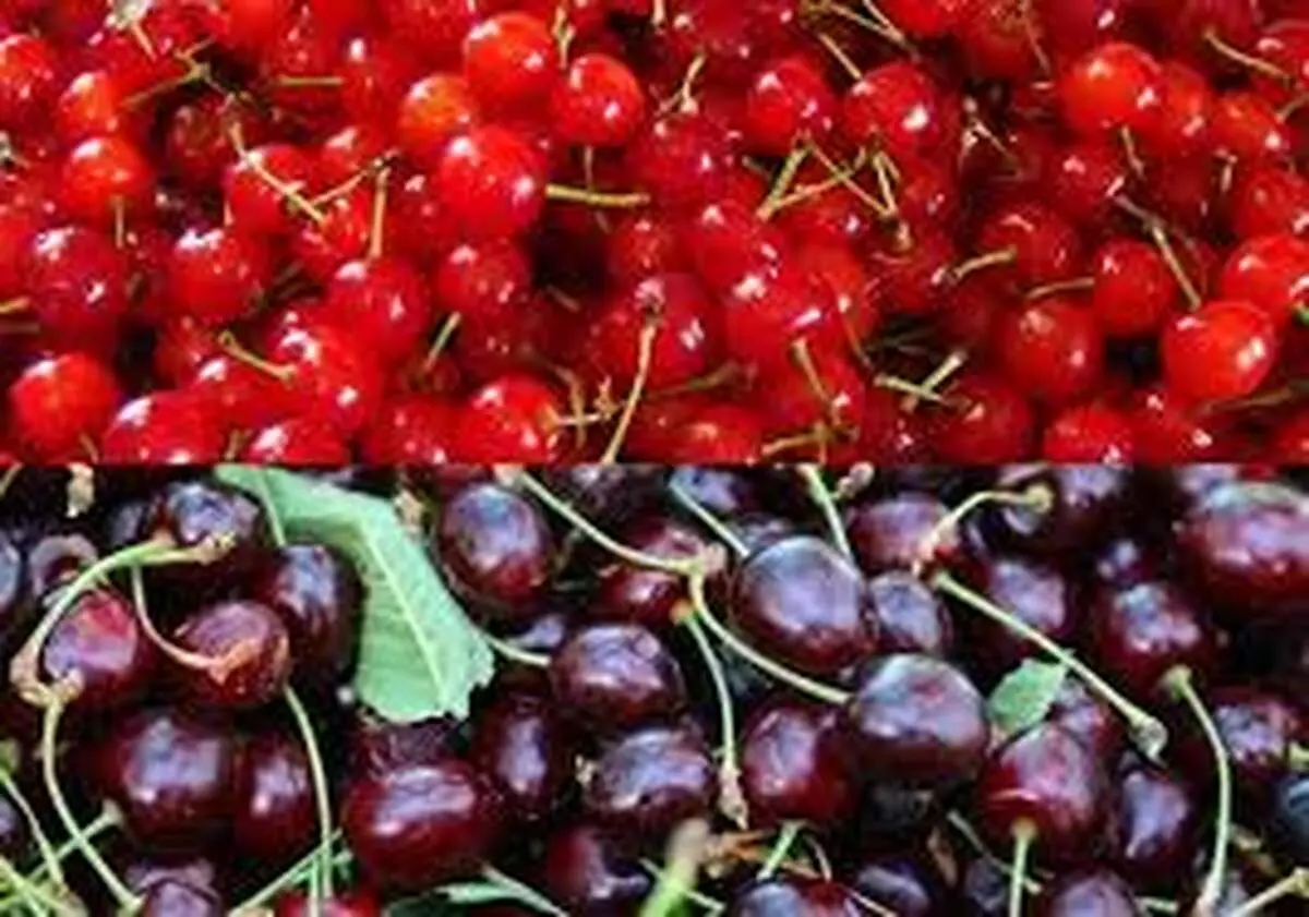
خوردن این خوراکی‌ها با گیلاس خطرناک است
