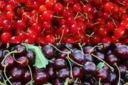 
خوردن این خوراکی‌ها با گیلاس خطرناک است
