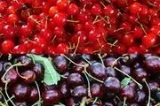 
خوردن این خوراکی‌ها با گیلاس خطرناک است
