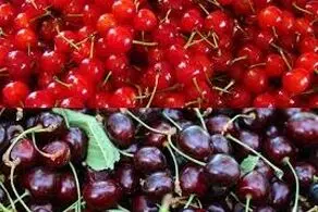 
خوردن این خوراکی‌ها با گیلاس خطرناک است
