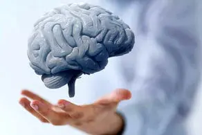 اتفاق شوکه کننده برای مغز پرورش‌یافته در آزمایشگاه که چشم درآورد! +عکس