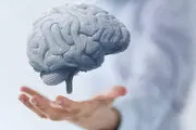 راهکارهای خانگی برای مقابله با سکته مغزی