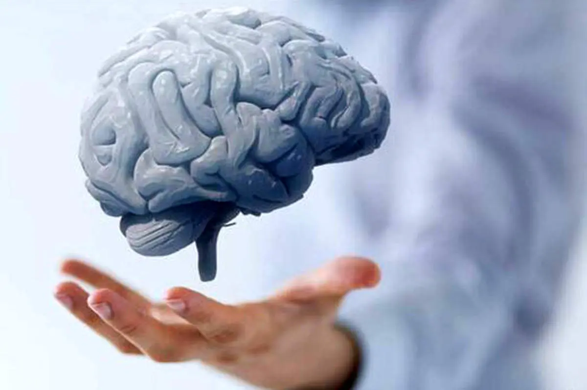 چگونه مغز خود را ۱۰ سال جوان‌تر کنیم؟