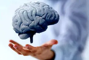 اتفاق شوکه کننده برای مغز پرورش‌یافته در آزمایشگاه که چشم درآورد! +عکس