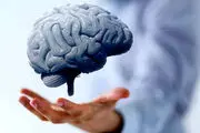 کرونا این قسمت از مغز را از کار می‌اندازد