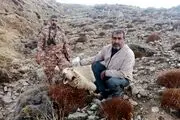 این گرگ، ۴۲ گوسفند را در این نقطه ایران درید!