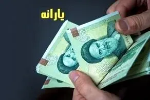 چه کسانی حق برداشت یارانه جدید را ندارند؟