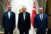 مکالمه دو زبانه امیرعبداللهیان و اردوغان/ ببینید 