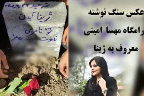 همه چیز درباره ژینا 