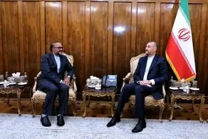دیدار رییس جدید دفتر حفاظت منافع ایران در مصر با امیرعبداللهیان