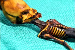  راز واقعی اجساد مومیایی شده «آدم فضایی‌ها»  فاش شد!