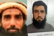 تروریست همدست «اکرم لاهوری» به دام افتاد!