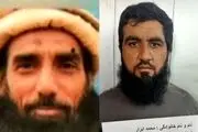 تروریست همدست «اکرم لاهوری» به دام افتاد!
