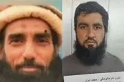 تروریست همدست «اکرم لاهوری» به دام افتاد!