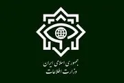  وزارت اطلاعات: تعداد قابل توجهی از جاسوسان موساد در ۲۸ کشور جهان شناسایی شدند ‌