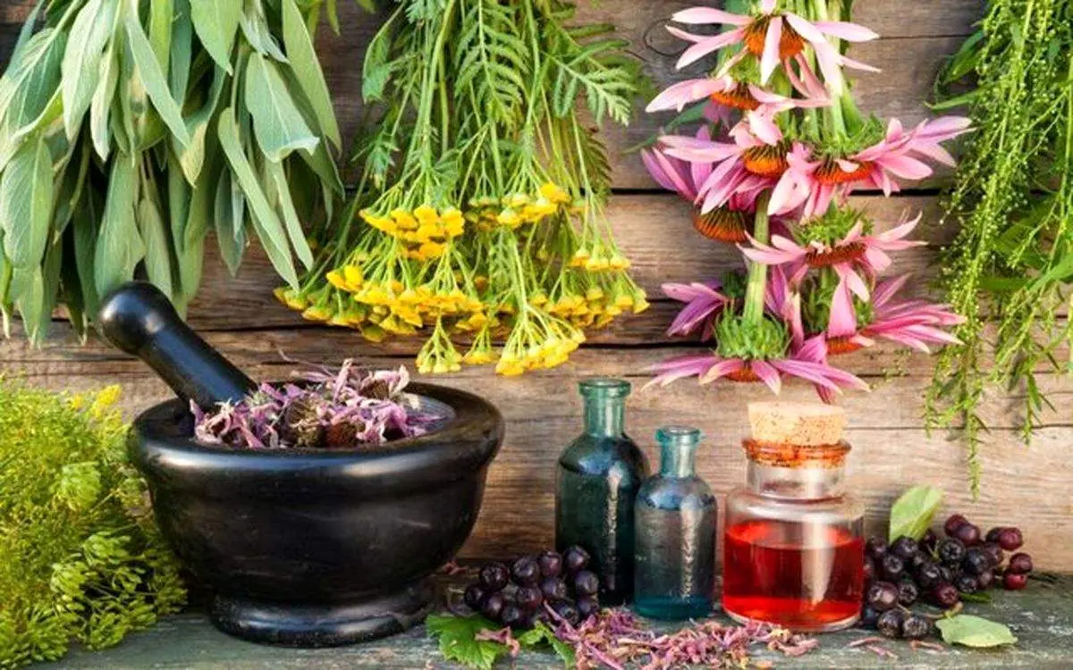 آشنایی با داروهای گیاهی مجوزدار کرونایی