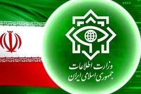 کشف بیش از 300 لیتر مشروبات الکی توسط وزارت اطلاعات  