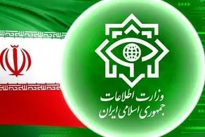 عنصر ضد امنیتی در شهرستان قرچک دستگیر شد