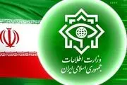 عنصر ضد امنیتی در شهرستان قرچک دستگیر شد