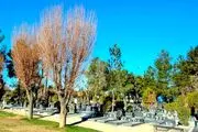 کشف سحر و جادویی ترسناک در گورستان یزد/ عکس
