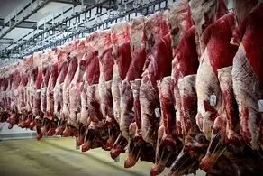 چرا عرضه گوشت گرم تنظیم بازاری متوقف شد