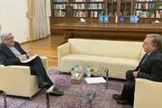 مذاکرات برجامی اولیانوف و نماینده جدید ایران در آژانس 